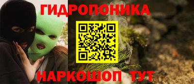 дурь Славгород