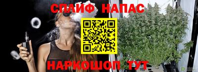 дурь Славгород
