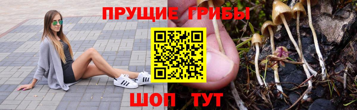 Галлюциногенные грибы Psilocybine cubensis  Вход с VPN  Медногорск 